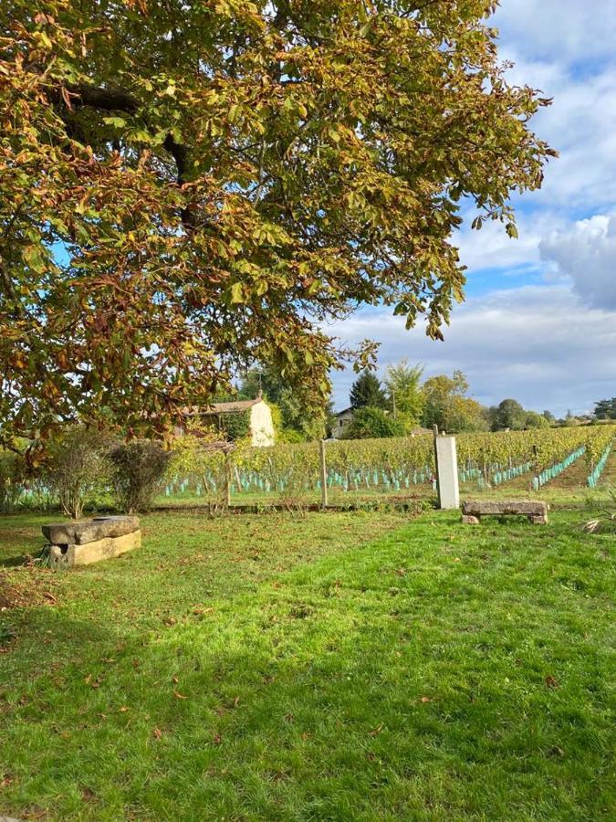 Bed and Breakfast Le Jardin Dans Les Vignes Barsac  Экстерьер фото