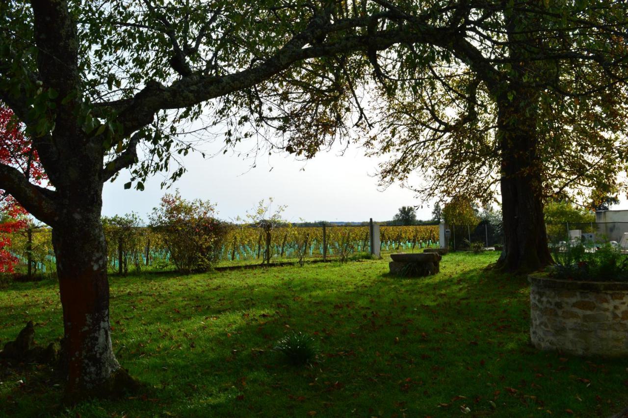 Bed and Breakfast Le Jardin Dans Les Vignes Barsac  Экстерьер фото