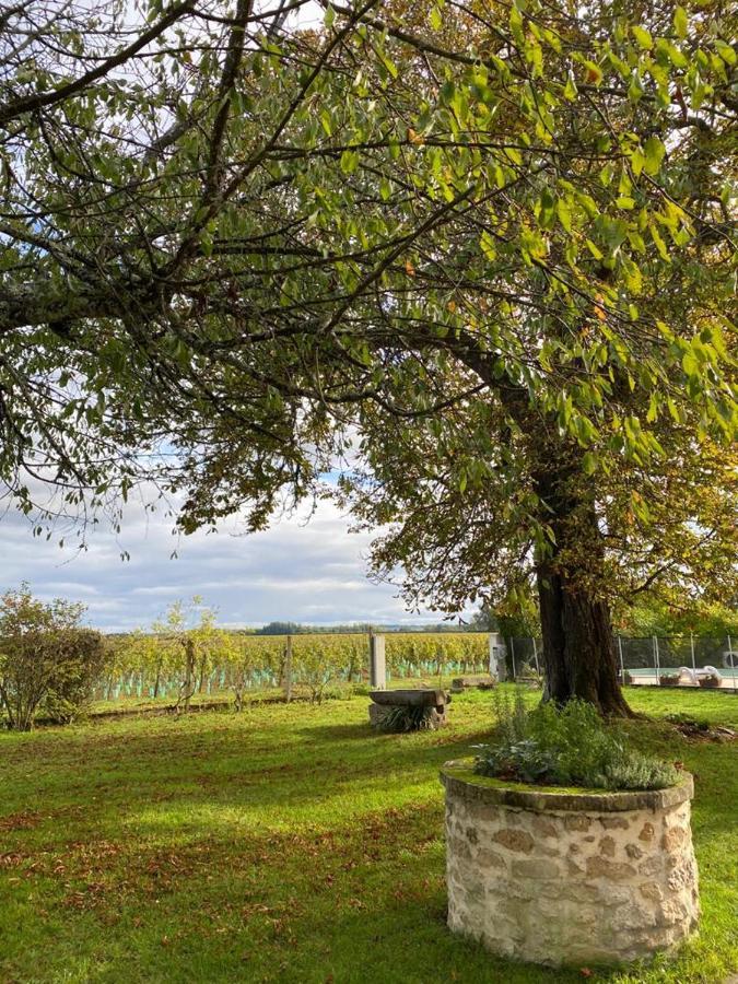 Bed and Breakfast Le Jardin Dans Les Vignes Barsac  Экстерьер фото